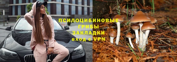 прущая мука Балахна